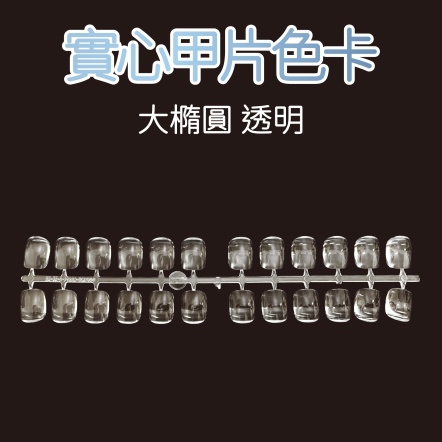 實心甲片色卡-大橢圓 透明 48P