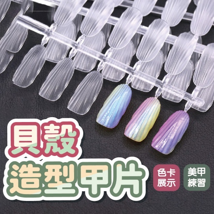 造型甲片 120片 微粒體貝殼紋 愛心