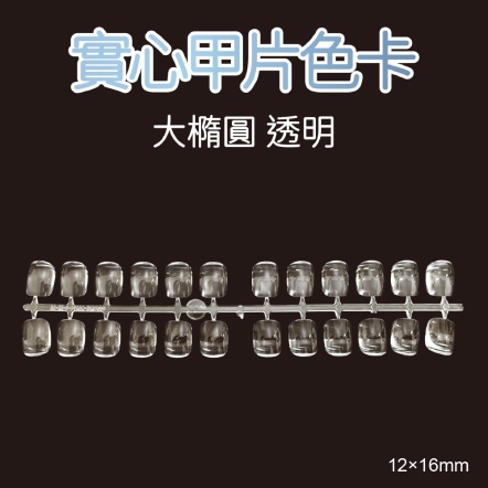 實心甲片色卡-大橢圓12×16mm 透明 48P